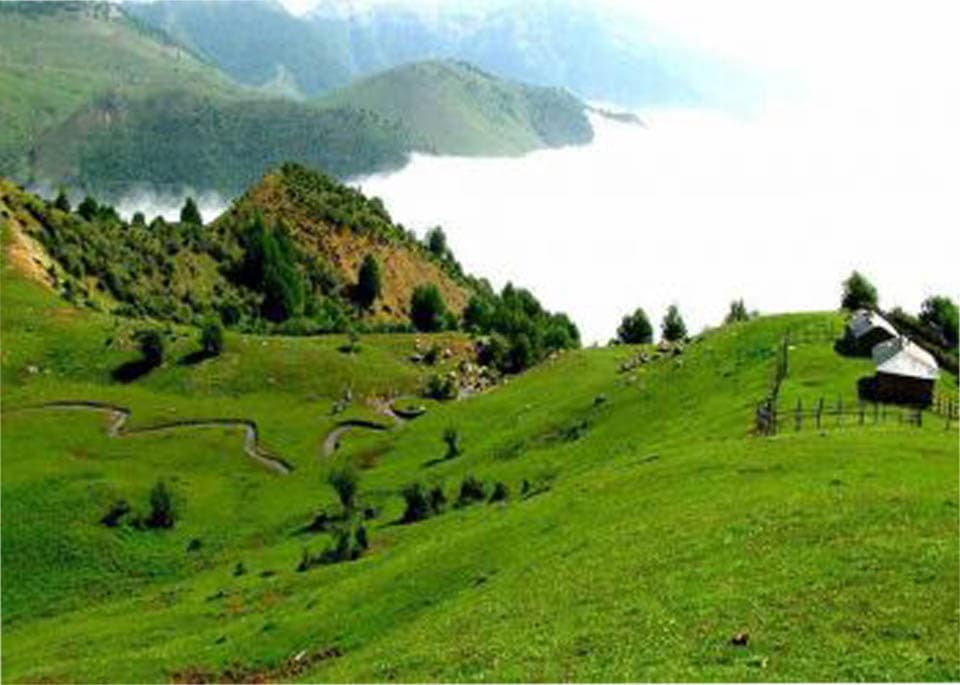 منطقه ییلاقی بلوردکان لنگرود (1)