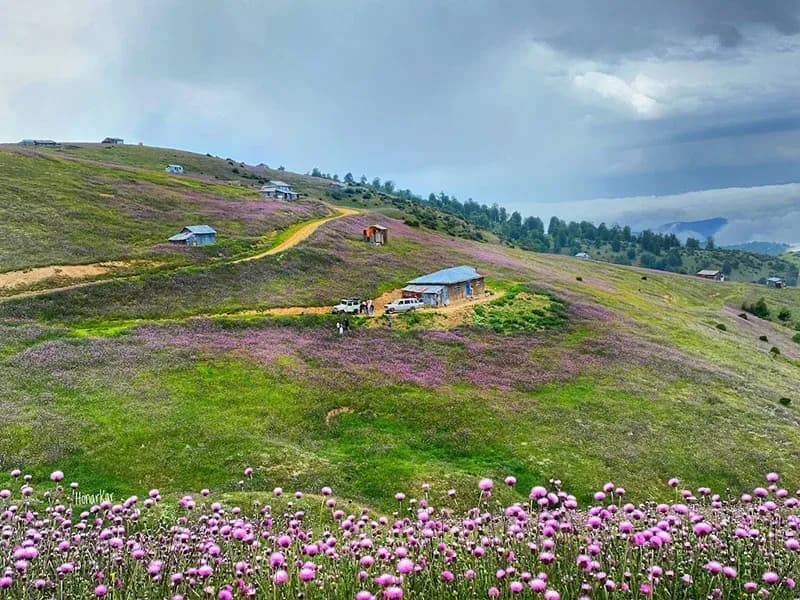 منطقه ییلاقی سلانسر رودبار (2)