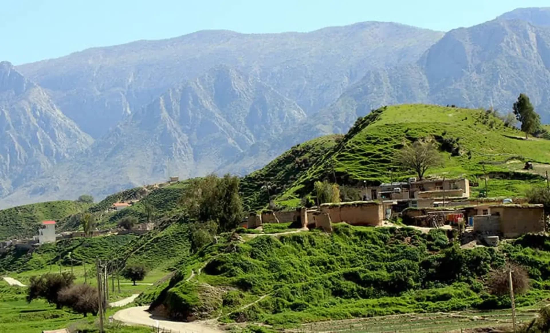 دشت سوسن کلوت؛ بهشت زمینی ایران