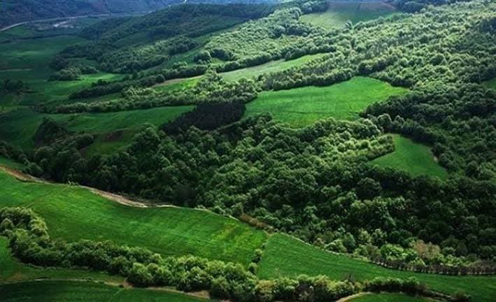 بهترین جنگل های مازندران