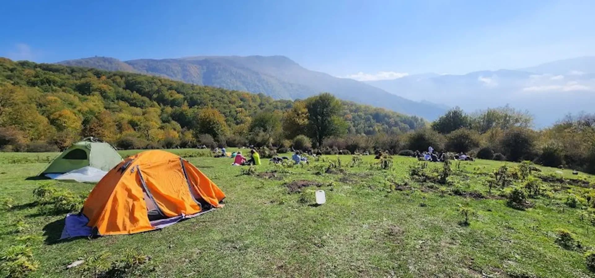 جنگل الیمستان (5)