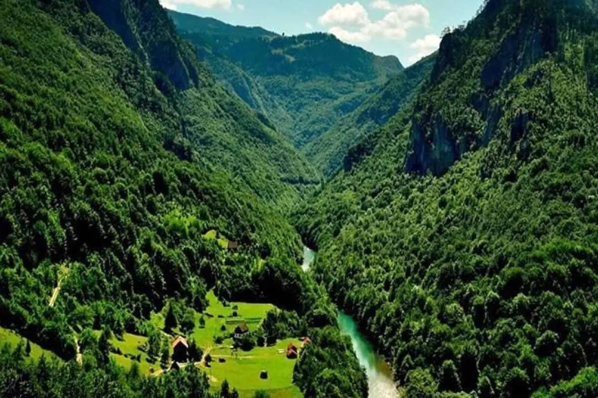 جنگلهای هیرکانی؛ راهنمای کامل پاییزگردی شمال ایران (6)